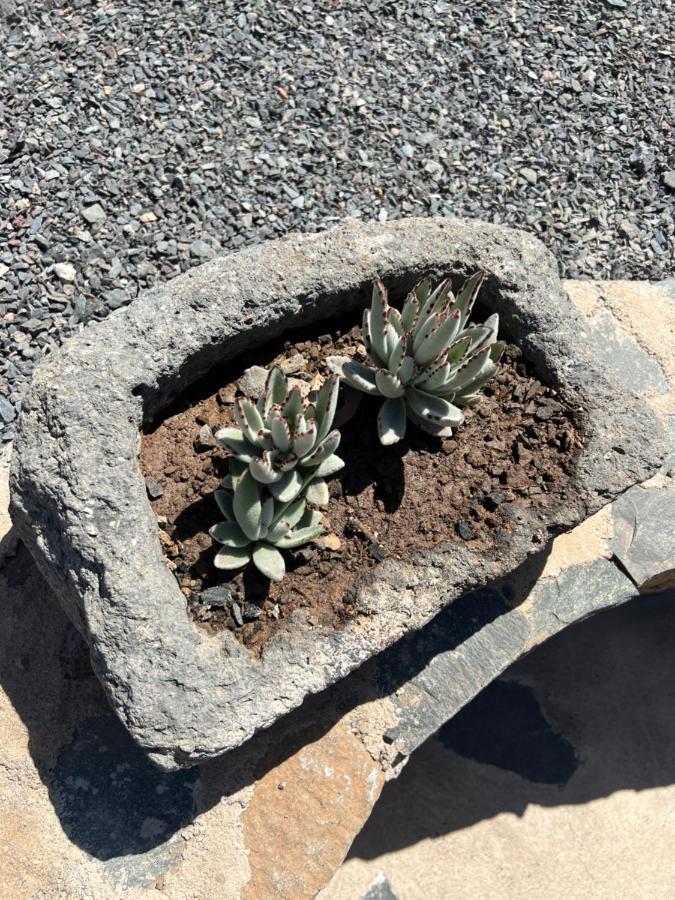 Casa Rural Con Bano Adaptado Y Piscina En Mogán Exterior foto