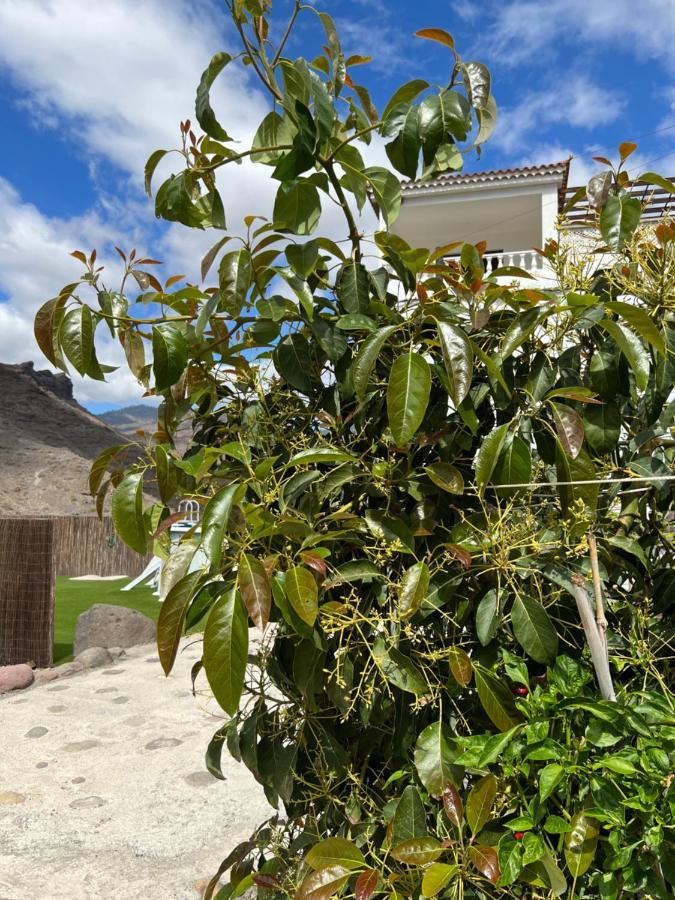 Casa Rural Con Bano Adaptado Y Piscina En Mogán Exterior foto
